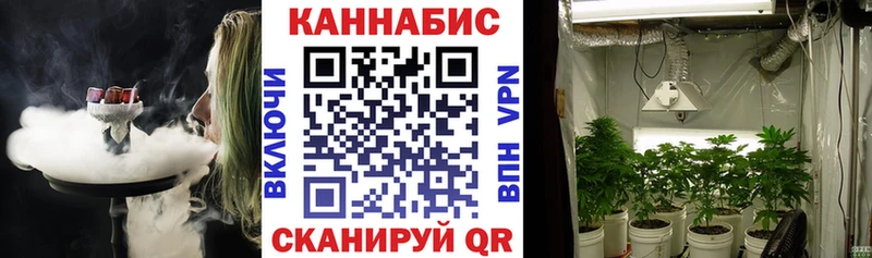 Купить наркотики цена Карачев Cocaine  Мефедрон  Бутират  OMG как зайти  СК  Канабис 