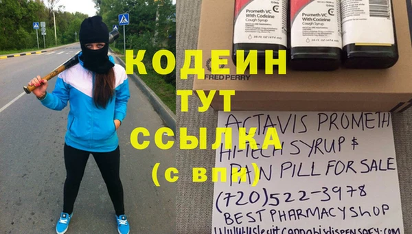 шишки Переславль-Залесский
