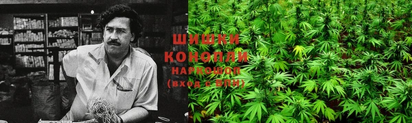 шишки Переславль-Залесский