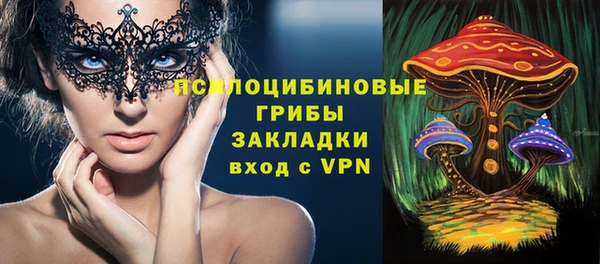 шишки Переславль-Залесский