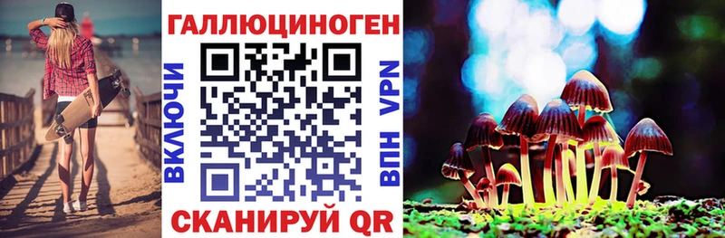 Псилоцибиновые грибы Psilocybe  Карачев 